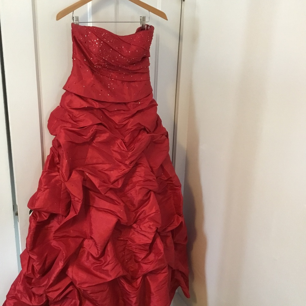 Ball gown, David’s Bridal gown.